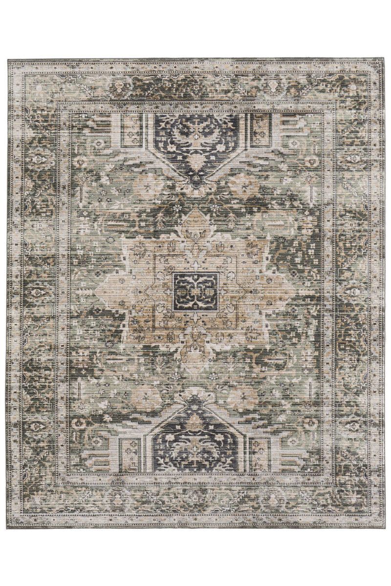 Augustine 39TVF Green/Black 9' x 12' Rug image number 0