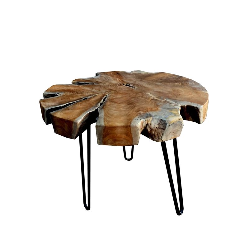 D-ART COLLECTION, INC Teak Trunk Accent Table