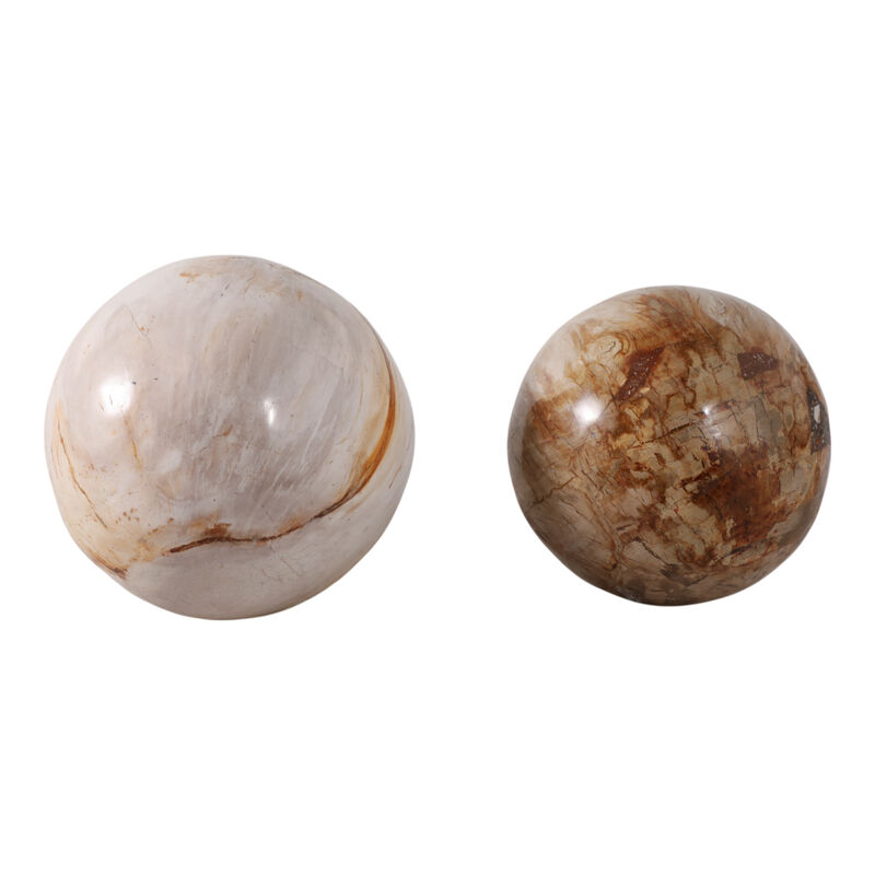 S/2 5/6" Petrified Wood Orbs, Ivory image number 4
