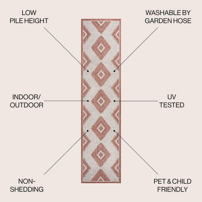 Lior Geometric Moroccan Diamond Indoor/Outdoor Area Rug