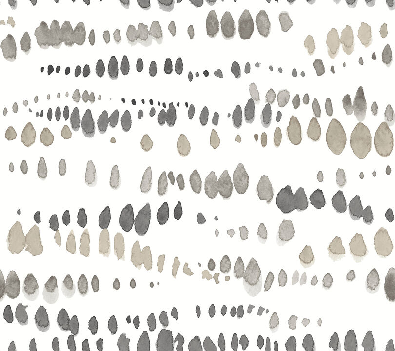 Dewdrops Black & Taupe Wallpaper