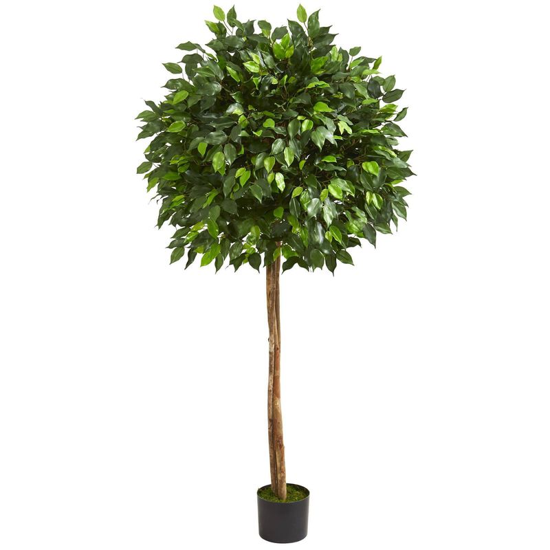 Nearly Natural 5.5-in Ficus Artificial Tree