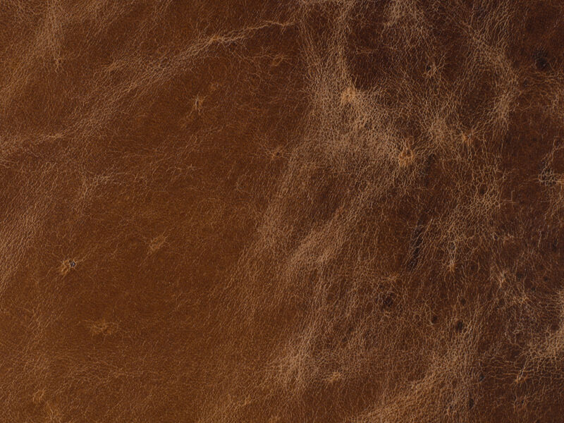 Barker Executive Chair