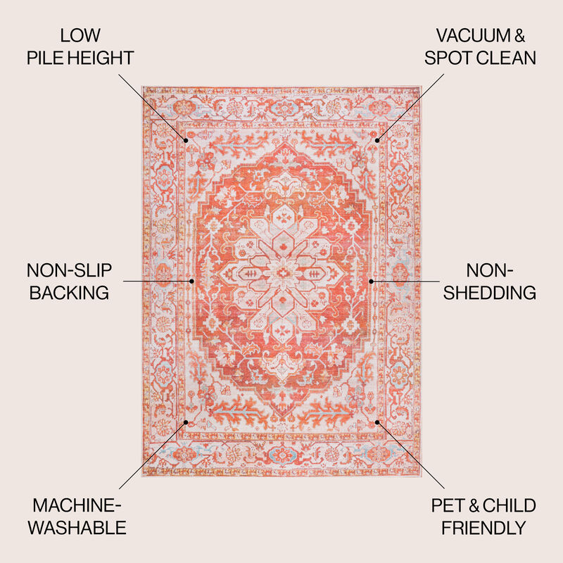 Asa Ornate Medallion Machine-Washable Area Rug