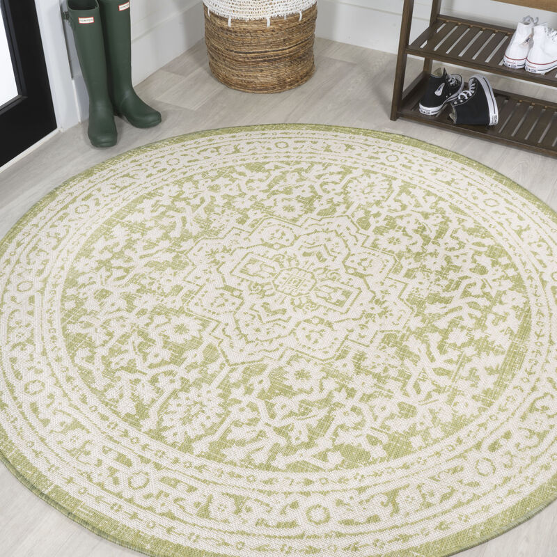 Sinjuri Medallion Textured Weave Area Rug