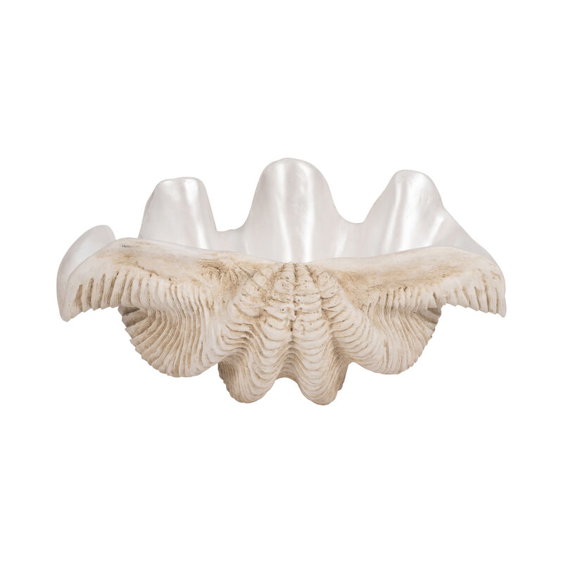 16" Pearlized Clam Shell Bowl, Ivory image number 3