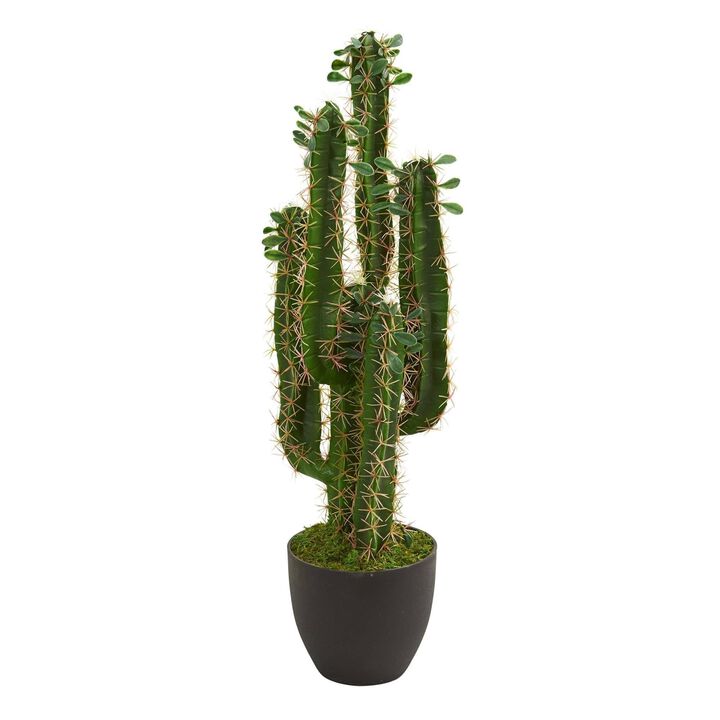 Nearly Natural 2.5-in Cactus Artificial Plant