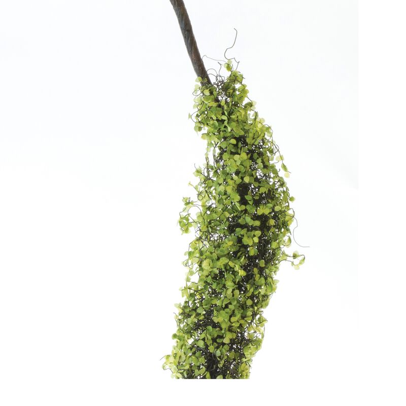 Moss Foliage Vine Branch (Set of 2) – Artificial Hanging Greenery for Rustic Wedding, Home, and Garden Decor