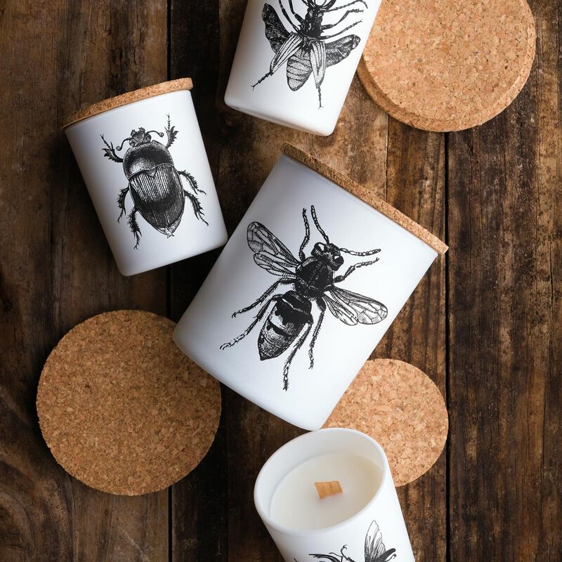 Candle in Jar INSECT 75gr SCARABEUS SACER 2.36 diam. x 2.95 in image number 2