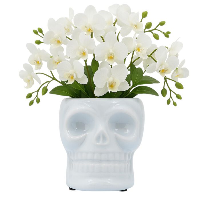 Cer, 5" Skull Vase, White