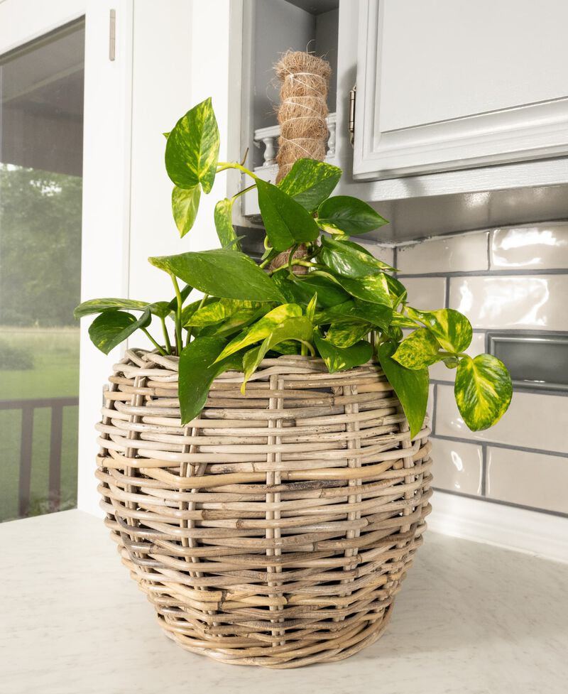 Saboga Home&trade; Round Belly Planter with Plastic Insert image number 2