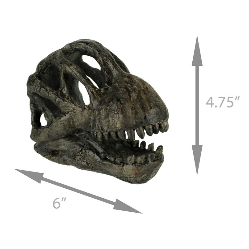 6 Inch Brachiosaurus Dinosaur Skull Fossil Statue Resin Brown Office Desk D&eacute;cor image number 3