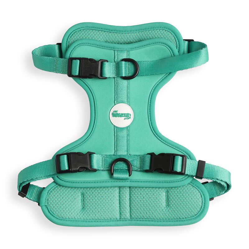 Arlo Adjustable Soft Padded No Pull Pet Harness with 3 Buckles and 3 Leash Clips