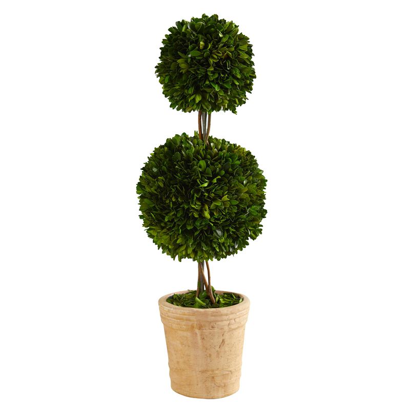 HomPlanti 2.5 Feet Preserved Boxwood Double Ball Topiary Tree in Decorative Planter