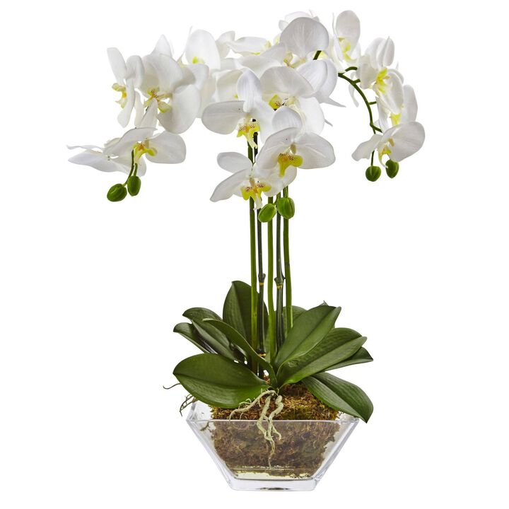 Nearly Natural 22-in Triple Phalaenopsis Orchid in Glass Vase
