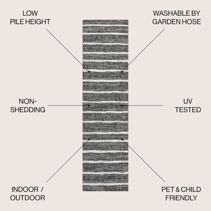 Colonia Berber Stripe Indoor/Outdoor Area Rug