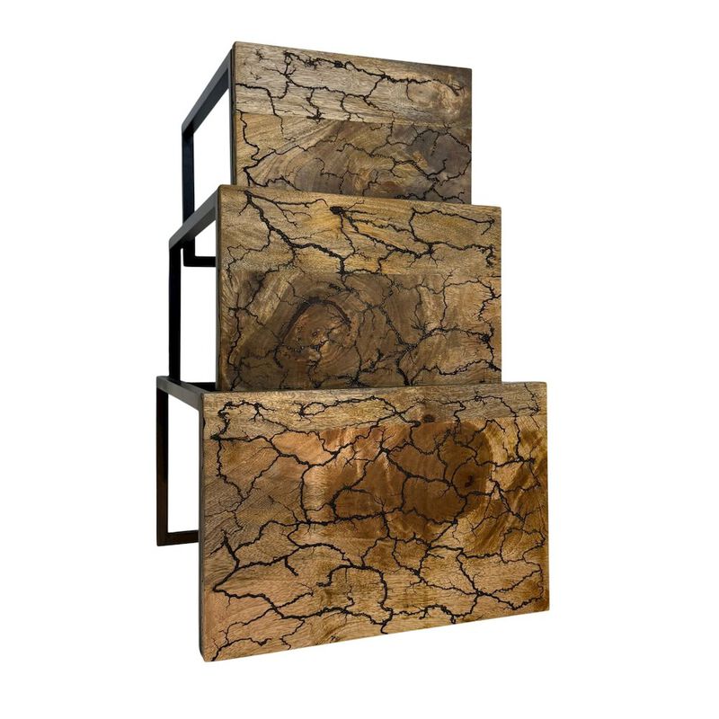 Carolina Chair & Table Electra 3 Piece Nesting Table Set - Electrified Wood - Black Iron