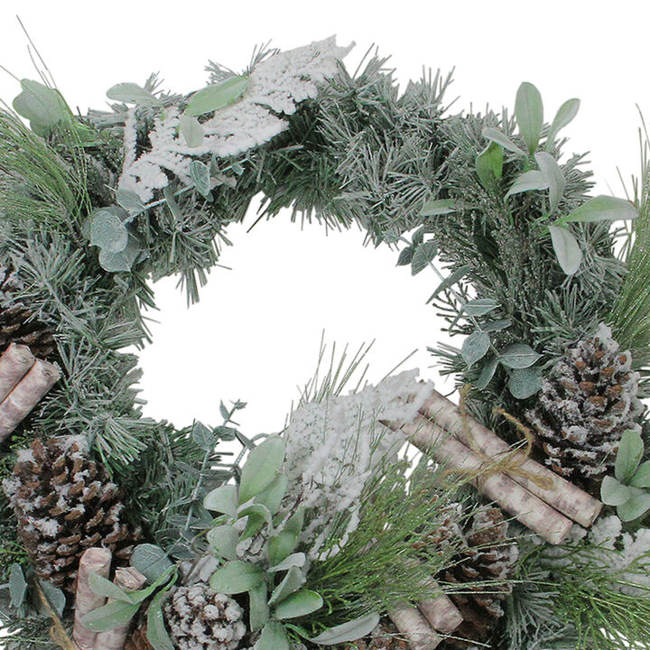 24” Artificial Frosted Pine  Birch Scrolls and Pine Cone Christmas Wreath - Unlit
