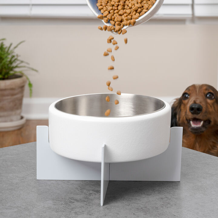 Intersecta Concrete and Stainless Steel Bowl 16oz (2 Cups) with Metal Stand Pet Feeder