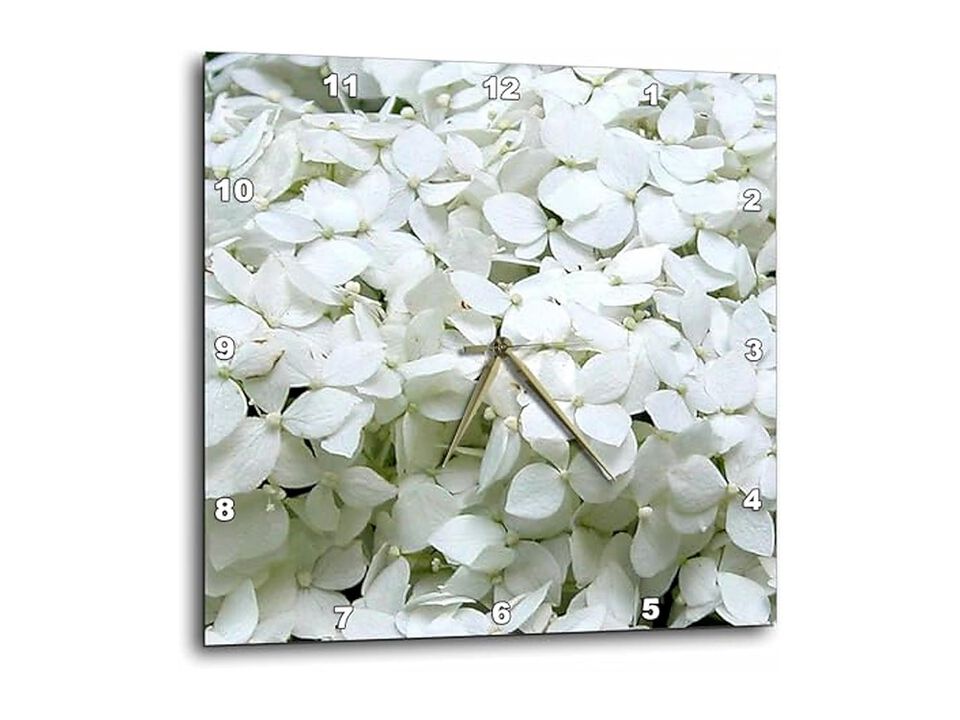 White Hydrangeas Close Wall Clock 10 Inch Home Decor