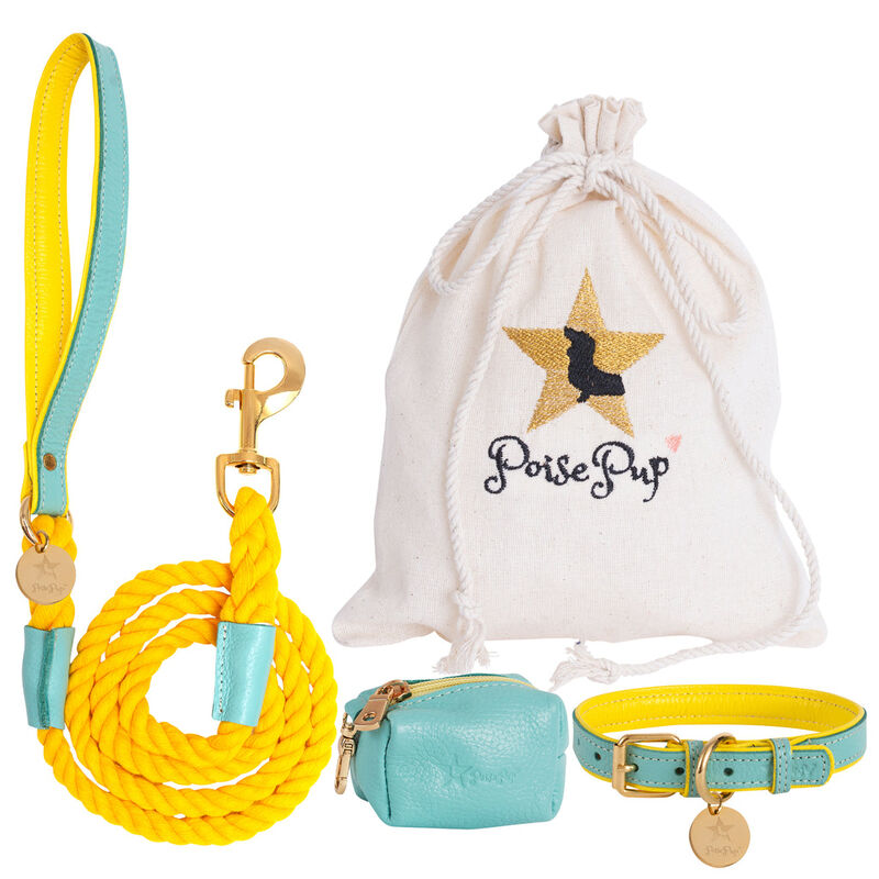 POISEPUP Genuine Leather Dog Collar - Handmade, Adjustable & Soft - Teal | Yellow