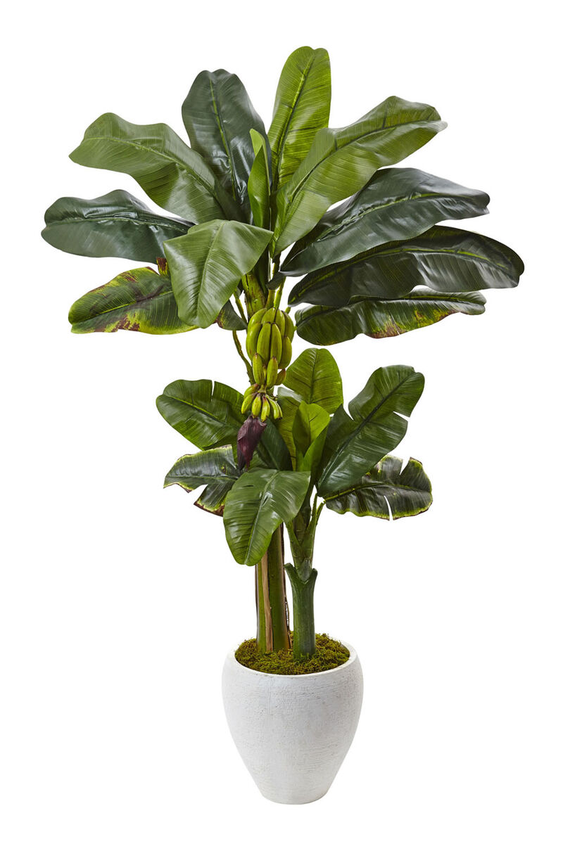 Nearly Natural 5-ft Double Stalk Banana Tree in White Planter image number 2