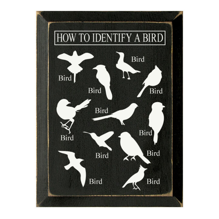 Bird Identification Chart Wall Decor From Solid Knotty Pine