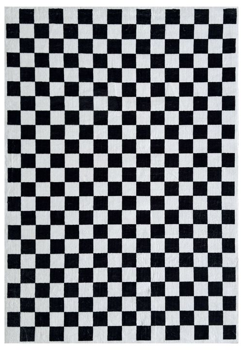 HomeRoots Checkered Area Rug