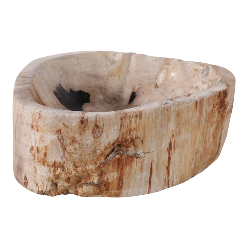 9x4" Petrified Wood Bowl, Ivory/tan image number 2