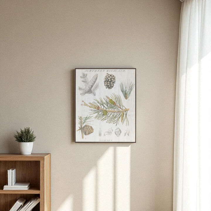 Framed Pine Encyclopedia Print for Nature-Inspired Home Decor Wall