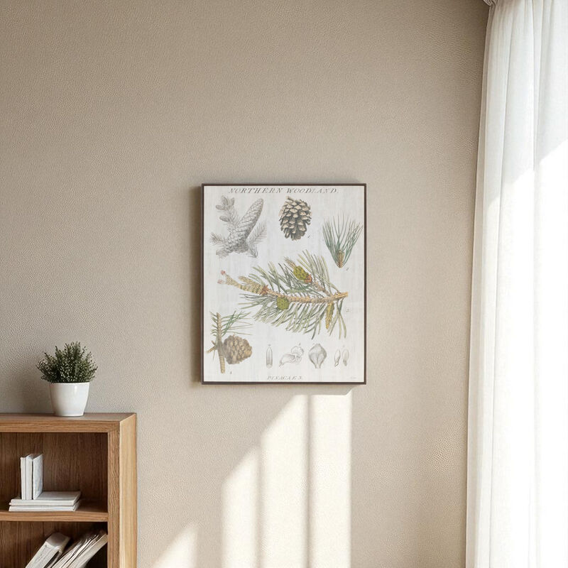Framed Pine Encyclopedia Print for Nature-Inspired Home Decor Wall