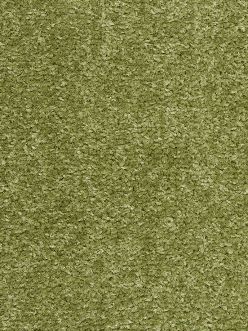 Nourison Essentials NRE01 Green 4' x Round Rug