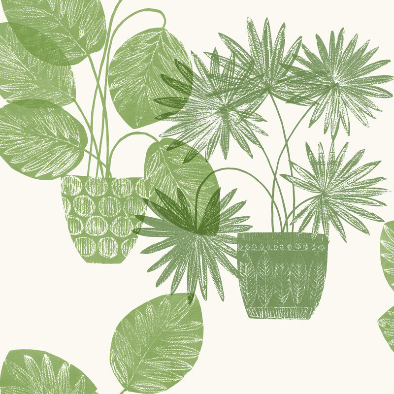 Aida Green Potted Plant Wallpaper image number 0