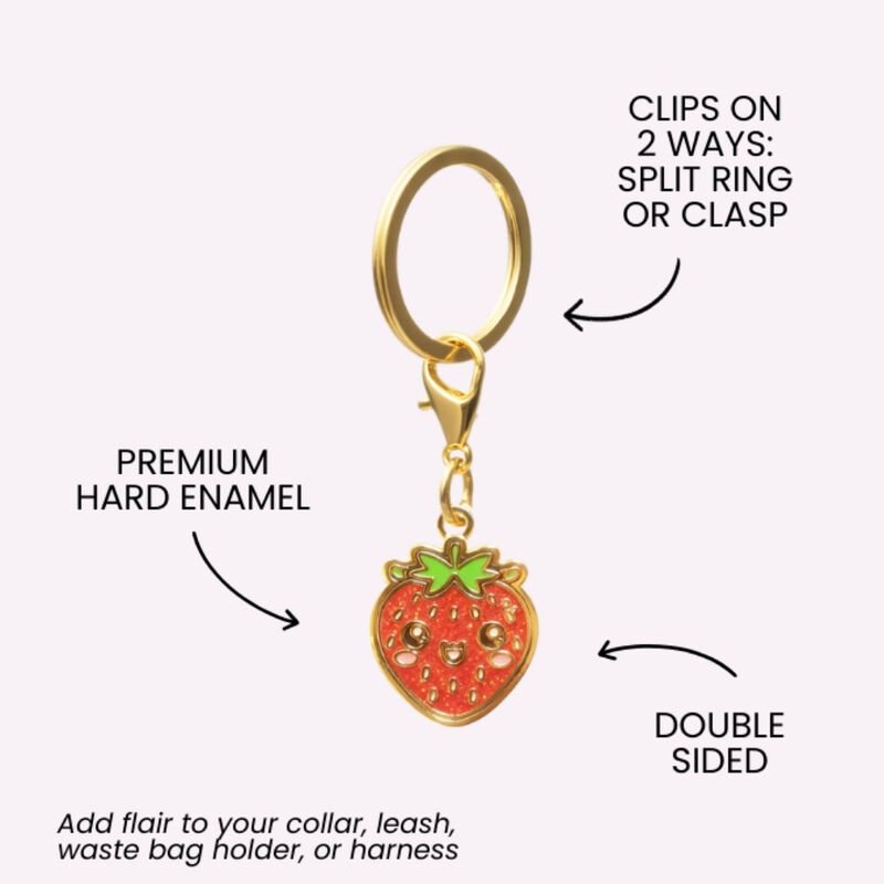 Strawberry Pet Collar Charm