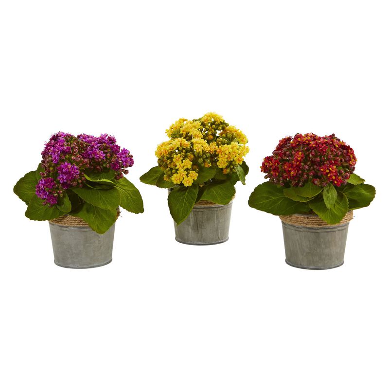 Hivvago Kalanchoe Artificial Arrangements (Set of 3)