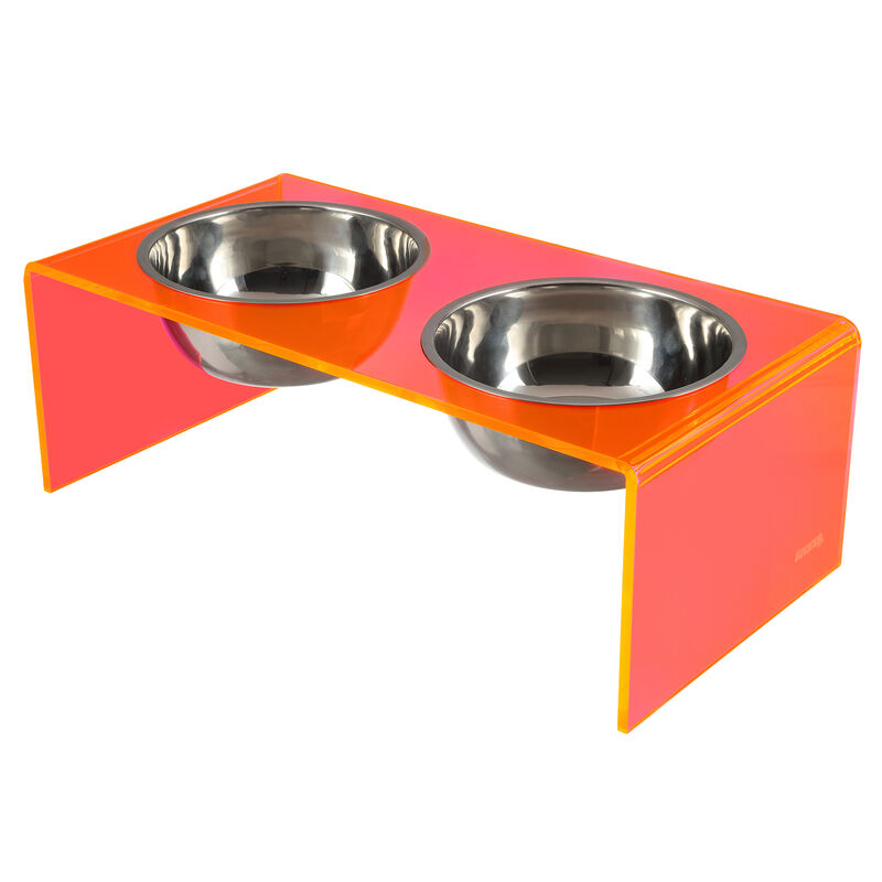 Keaton Modern Acrylic Rectangular Elevated Pet Feeder with Stainless Steel Bowls