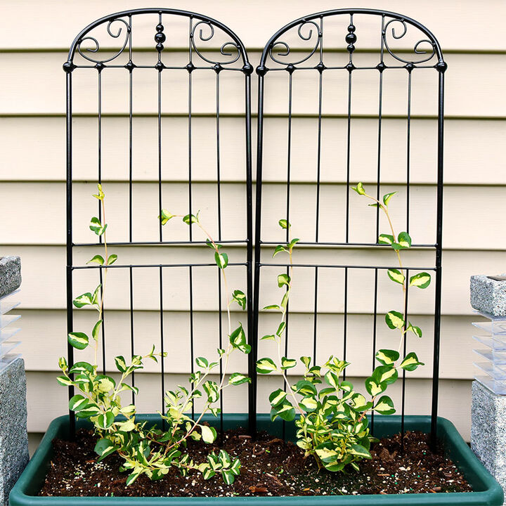 Sunnydaze 32 in Steel Wire Traditional Garden Plant Trellis - Set of 2