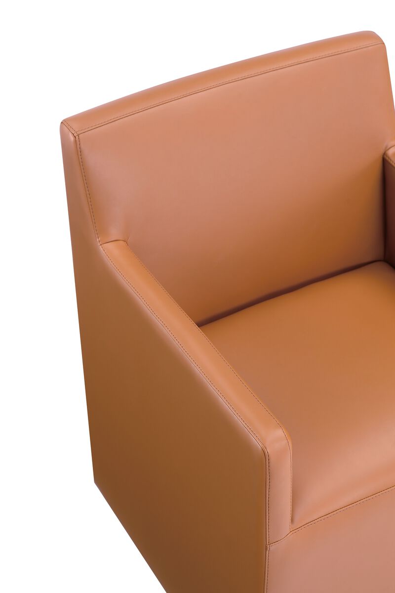 Anna Square Dining Arm Chairs in Brown (Set of 2)