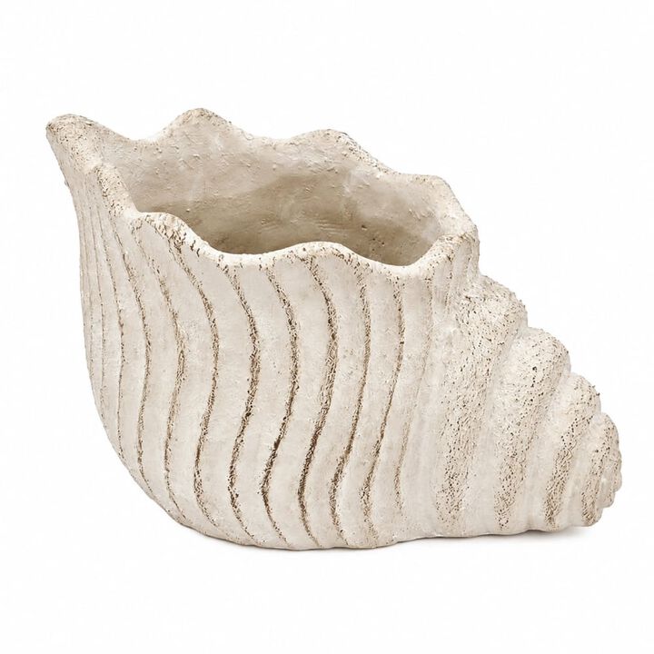 WOW PIONEER Nautilus Shell Decorative Planter Sand Cement Construction Textured Finish for Succulents Herbs Coastal Home Decor