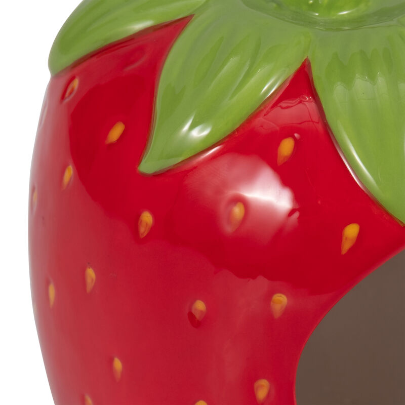 Strawberry Bird House/Feeder image number 5
