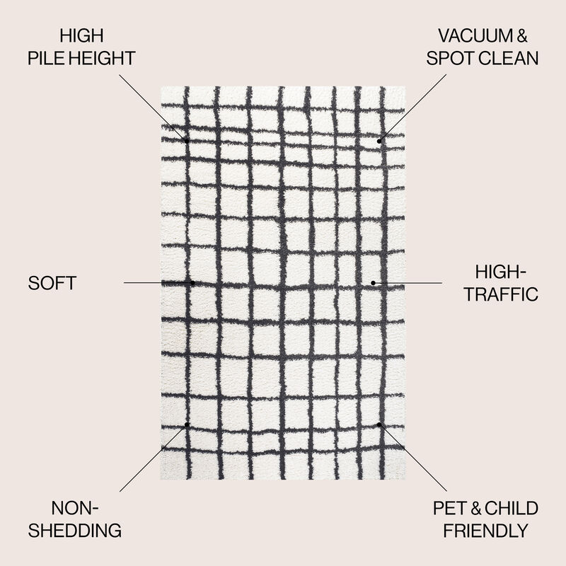 Arenal Geometric Grid Shag Area Rug