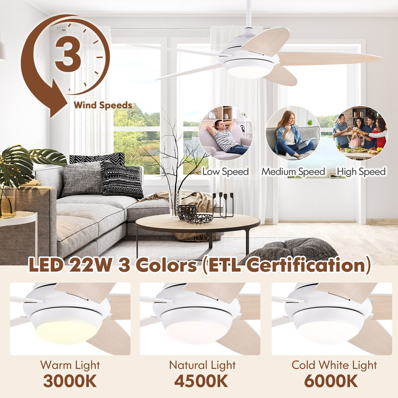 Ceiling Fan with Lights and 3 Color Modes for Adjustable Lighting