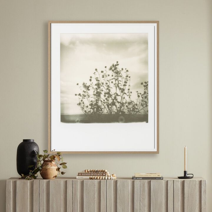 Sunflowers by Darden Smith
