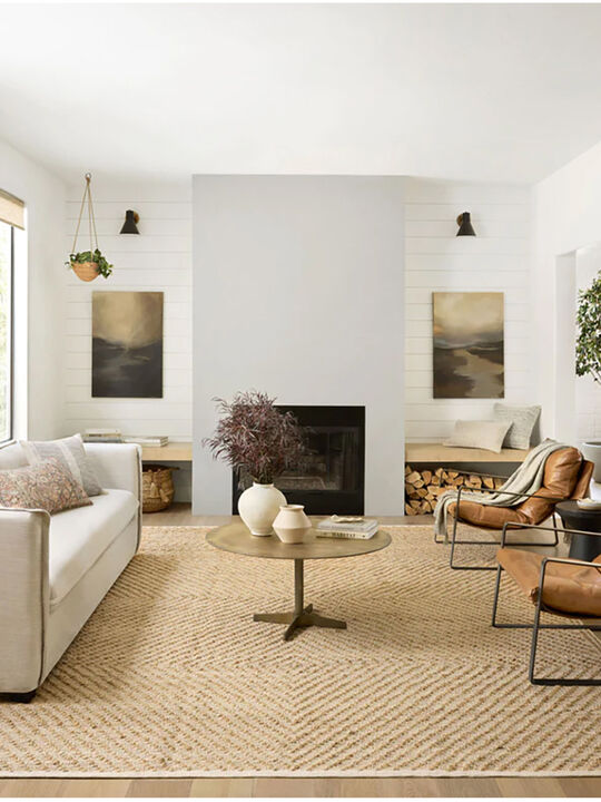 Colton CON04 2'" x 3'" Rug