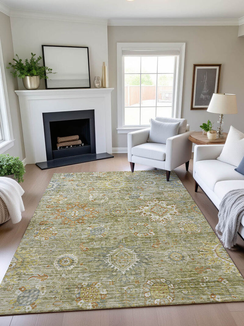 Silk Road SR9 Sage 10' x 14' Rug