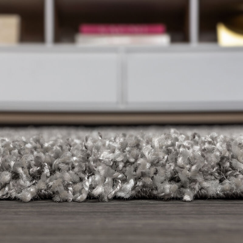 Mercer Shag Plush Tassel Area Rug