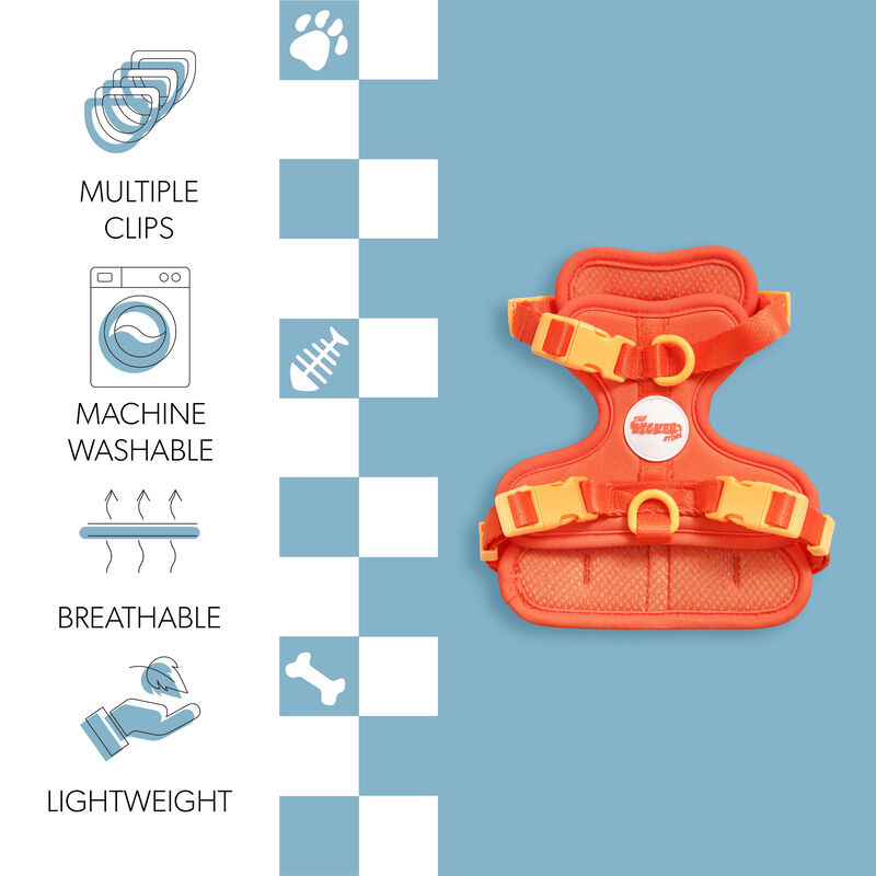 Arlo Adjustable Soft Padded No Pull Pet Harness with 3 Buckles and 3 Leash Clips