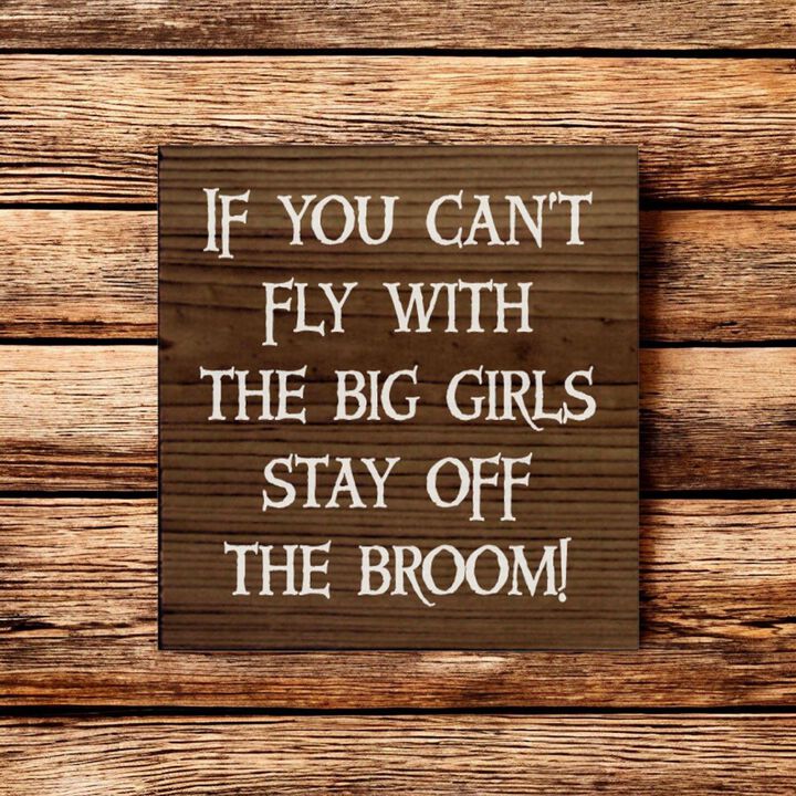 If You Can't Fly with the Big Girls Stay Off the Broom Wood Sign