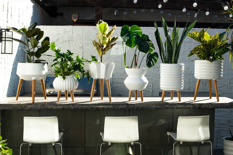 Groove Jr. Ceramic Planter w/beech wood legs-matte white