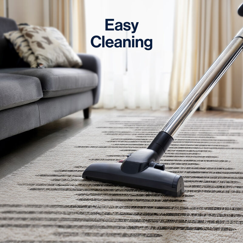 Zolak Berber Stripe Geometric Area Rug